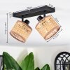 Barcos ceiling light, ceiling spotlight black, 2-light sources