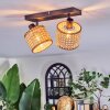 Barcos ceiling light, ceiling spotlight black, 2-light sources