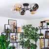 Koyoto ceiling light, globe light 59 cm Amber, chrome, clear, Smoke-coloured, 6-light sources