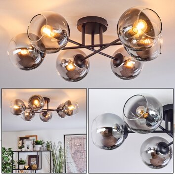Koyoto ceiling light, globe light 59 cm clear, Smoke-coloured, 6-light sources