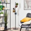 Koyoto globe light, floor lamp 32 cm blue, chrome, gold, green, coppery, Smoke-coloured, 5-light sources