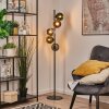 Koyoto globe light, floor lamp 32 cm blue, chrome, gold, green, coppery, Smoke-coloured, 5-light sources