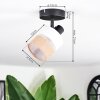 Fallhagen ceiling light, ceiling spotlight black, 1-light source