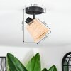 Lindberg ceiling light, ceiling spotlight black, 1-light source
