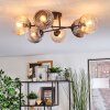 Koyoto ceiling light, globe light 59 cm Amber, clear, Smoke-coloured, 6-light sources