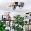 Koyoto ceiling light, globe light 59 cm Amber, clear, Smoke-coloured, 6-light sources