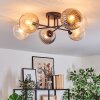 Koyoto ceiling light, globe light 59 cm Amber, clear, Smoke-coloured, 6-light sources