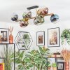 Koyoto ceiling light, globe light gold, black, 10-light sources