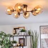 Ripoll ceiling light, globe light Amber, clear, 6-light sources