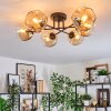 Ripoll ceiling light, globe light Amber, clear, 6-light sources