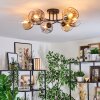 Ripoll ceiling light, globe light Amber, clear, Smoke-coloured, 6-light sources