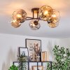 Ripoll ceiling light, globe light Amber, clear, Smoke-coloured, 6-light sources