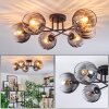 Koyoto ceiling light, globe light 59 cm clear, Smoke-coloured, 6-light sources