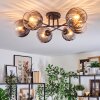 Koyoto ceiling light, globe light 59 cm clear, Smoke-coloured, 6-light sources