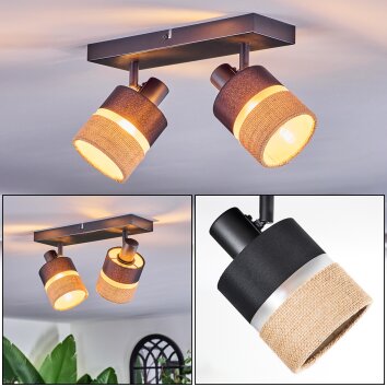Fallhagen ceiling light, ceiling spotlight black, 2-light sources