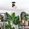 Fallhagen ceiling light, ceiling spotlight black, 1-light source