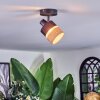 Fallhagen ceiling light, ceiling spotlight black, 1-light source
