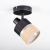 Fallhagen ceiling light, ceiling spotlight black, 1-light source