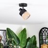 Fallhagen ceiling light, ceiling spotlight black, 1-light source
