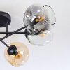 Ripoll ceiling light, globe light Amber, clear, Smoke-coloured, 6-light sources