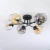 Ripoll ceiling light, globe light Amber, clear, Smoke-coloured, 6-light sources