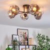 Ripoll ceiling light, globe light clear, Smoke-coloured, 6-light sources