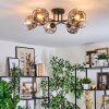 Ripoll ceiling light, globe light clear, Smoke-coloured, 6-light sources