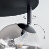 Chehalis ceiling light, globe light Smoke-coloured, 4-light sources