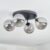 Chehalis ceiling light, globe light Smoke-coloured, 4-light sources