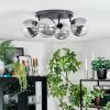 Chehalis ceiling light, globe light clear, Smoke-coloured, 4-light sources