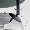 Chehalis ceiling light, globe light clear, Smoke-coloured, 4-light sources