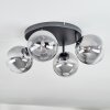 Chehalis ceiling light, globe light clear, Smoke-coloured, 4-light sources