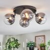 Chehalis ceiling light, globe light clear, Smoke-coloured, 4-light sources