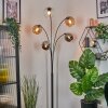 Koyoto globe light, floor lamp Amber, chrome, clear, Smoke-coloured, 5-light sources