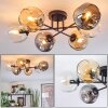 Ripoll ceiling light, globe light Amber, clear, Smoke-coloured, 6-light sources