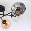 Ripoll ceiling light, globe light Amber, clear, Smoke-coloured, 6-light sources