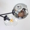 Ripoll ceiling light, globe light Amber, clear, Smoke-coloured, 6-light sources