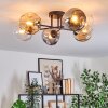 Ripoll ceiling light, globe light Amber, clear, Smoke-coloured, 6-light sources