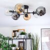 Ripoll ceiling light, globe light Amber, clear, Smoke-coloured, 6-light sources