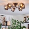 Ripoll ceiling light, globe light Smoke-coloured, 6-light sources