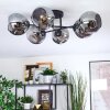 Ripoll ceiling light, globe light Smoke-coloured, 6-light sources