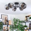 Ripoll ceiling light, globe light Smoke-coloured, 6-light sources