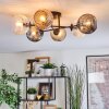 Ripoll ceiling light, globe light Amber, clear, Smoke-coloured, 6-light sources