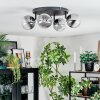 Chehalis ceiling light, globe light clear, Smoke-coloured, 4-light sources