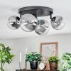 Chehalis ceiling light, globe light clear, Smoke-coloured, 4-light sources
