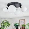 Chehalis ceiling light, globe light white, 4-light sources