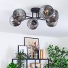 Ripoll ceiling light, globe light Smoke-coloured, 6-light sources