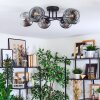 Ripoll ceiling light, globe light chrome, clear, Smoke-coloured, 6-light sources