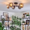 Ripoll ceiling light, globe light chrome, clear, Smoke-coloured, 6-light sources