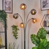 Koyoto globe light, floor lamp Amber, chrome, Smoke-coloured, 5-light sources